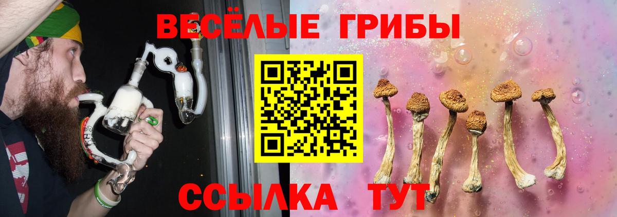 Галлюциногенные грибы Cubensis Тосно